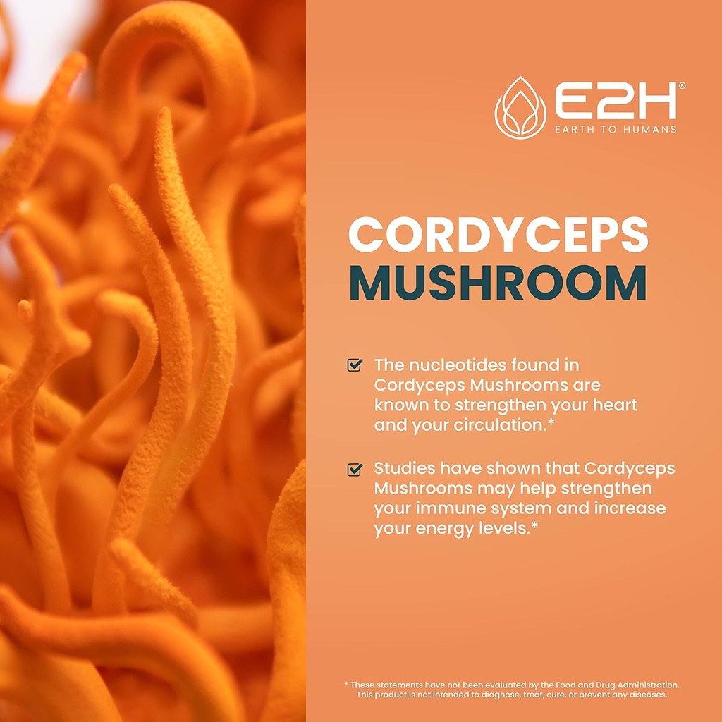cordyceps-mushroom-supplement---faster-a-3.jpg
