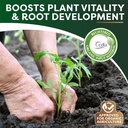 Volcanic Silica Minerals Micronized- 10 lbs 4