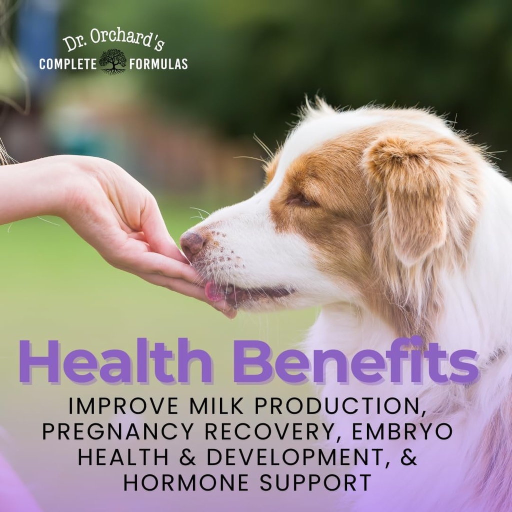 Dr Orchards Pregnancy Pro Dog Prenatal Vitamins - Premium Dog Supplement for Pregnancy, Prenatal + Postnatal, Lactation and Newborn Health Support, 90 Ct 5
