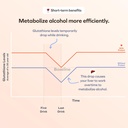 Cheers Protect | Daily Liver Supplement for Drinkers with L-Cysteine + DHM | Increase Glutathione Levels | 90 Doses | Cysteine, Dihydromyricetin, Milk Thistle, Prickly Pear, B-Vitamins, Ginger 4