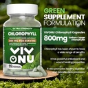 chlorophyll-capsules-800-mg---natural-ch-4.jpg