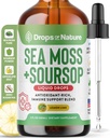 Soursop with Sea Moss Liquid Supplement – More Concentrated Than Sea Moss Gel – Easily Mix with Drinks – Soursop Bitters Liquid Drops for Hydration and Immune Support (Lemon Lime, 60mL) 2