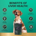 VetriScience Liver Health Chews with Milk Thistle, Vetri Liver Detox Supplement for Dogs, Turmeric and Artichoke Leaf for Liver Support and Detoxification, Chicken, 60 Count 6