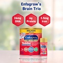 Enfagrow Premium Toddler Nutritional Drink, Made with Real Milk, Brain-Building Omega-3 DHA, Nutrients and Prebiotics for Growth & Immune Support, Non-GMO, Toddler Milk Powder, 32 Oz Can 4
