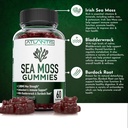 irish-sea-moss-gummies---3000mg---formul-3.jpg
