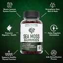 irish-sea-moss-gummies---3000mg---formul-4.jpg