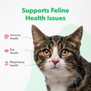 Vetoquinol Viralys Daily L-Lysine Powder for Cats and Kittens, Fish Flavored Lysine Supplement for Cats and Kittens to Support Immune Health, Normal Eye Function and Respiratory Health, 600gm 4