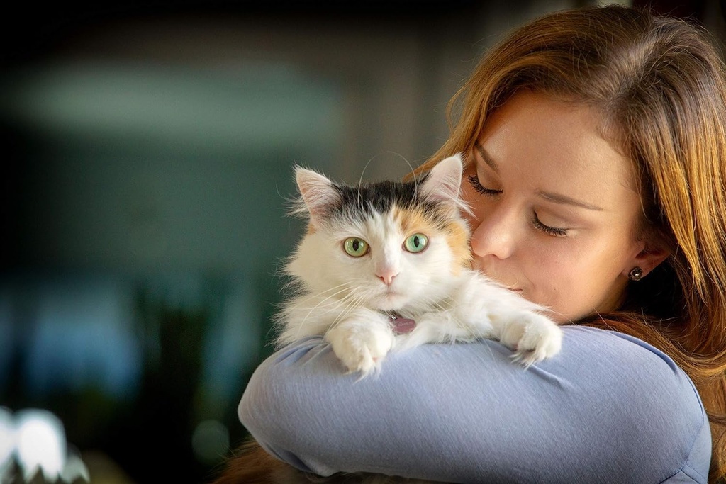 In Clover Spry Daily Respiratory and Ocular Support Soft Chews for Cats, with L-Lysine, Superfoods, and Prebiotics for a Strong Immune System, 2.1 oz. (60 count) 6