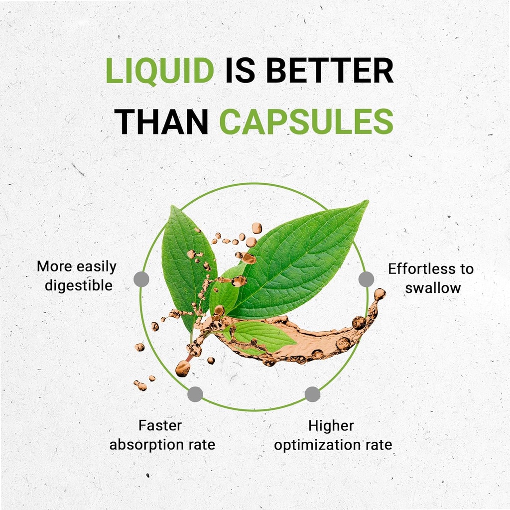 Bugleweed USDA Organic | Alcohol-FREE Extract, High-Potency Herbal Drops, Respiratory System | Made from 100% Certified Organic Bugleweed (Ze Lan, Lycopus Virginicus) Dried Herb 2 oz 3