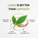 Bugleweed USDA Organic | Alcohol-FREE Extract, High-Potency Herbal Drops, Respiratory System | Made from 100% Certified Organic Bugleweed (Ze Lan, Lycopus Virginicus) Dried Herb 2 oz 3