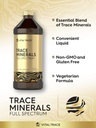 Carlyle Trace Minerals Supplement | 16 fl oz | Full Spectrum with Magnesium | Liquid Complex with Sulfate, Lithium, and Boron | Vegetarian. Non-GMO & Gluten Free | by Vital Trace 5