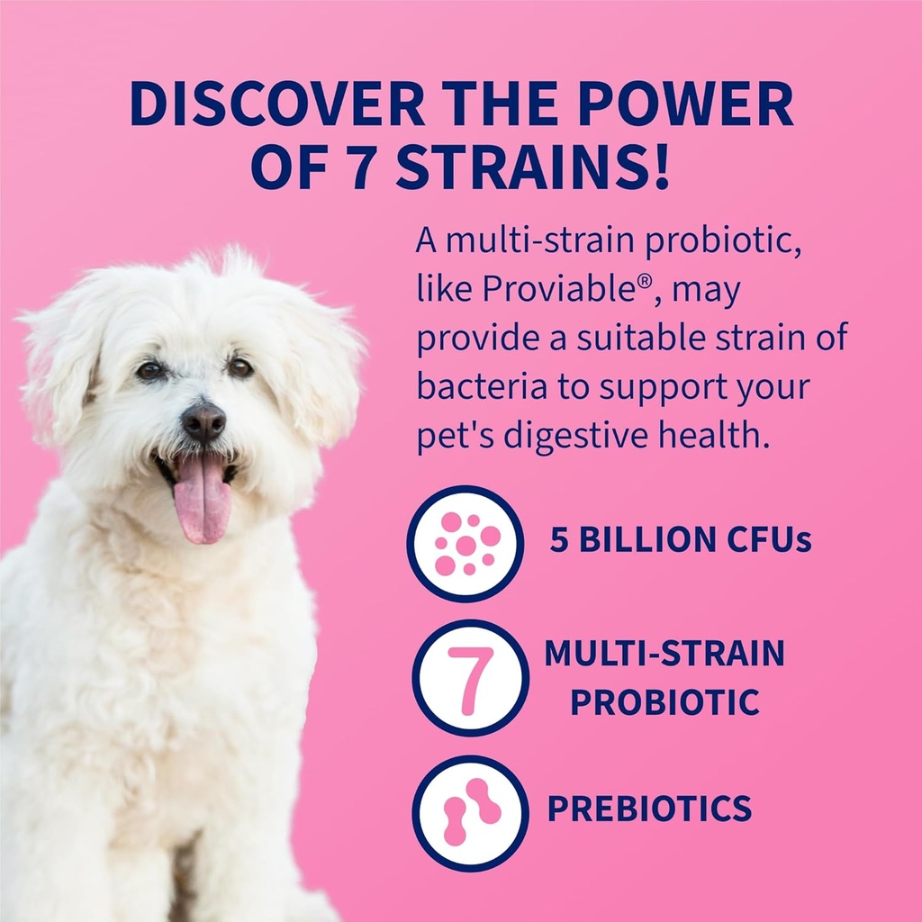 Nutramax Proviable Probiotics for Dogs and Cats, Daily Digestive Health Supplement with Multiple Strains of Bacteria, Cat and Dog Probiotics Plus Prebiotics, 30 Capsules 6