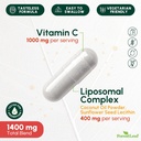 ForestLeaf Liposomal Vitamin C 1000mg Capsules | High Dose Vitamin C Liposomal Supplement w Coconut Oil Fatty Acids | Fast Absorption | Immune Support, Antioxidant, Collagen Production | 120 Vegan Cap 3