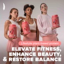 BIRDMAN Fitmingo Vegan Protein Powder with Inositol, Collagen Boosters, Hyaluronic Acid and Vitamins | Low Carb, Dairy Free, Lactose Free, Low Calorie | 23g Plant Based Vanilla Protein Powder 6