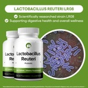 Lactobacillus Reuteri Probiotic Supplement 240 Tablets 3 Billion CFU Probiotics for Men & Women Supports Intestinal Digestive & Gut Health (240, Lactobacillus Reuteri) 3