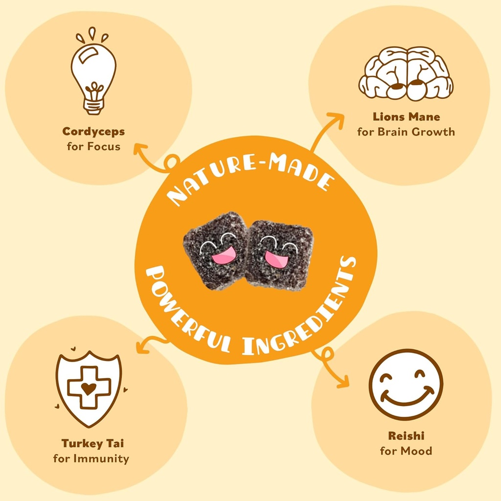 Mini Mushy's Organic Everyday Support Gummies | Turkey Tail, Reishi, Lions Mane, Cordyceps Mushrooms | for Kids Aged 2+ Natural Color, Allergy Friendly, Low Sugar | Strawberry Flavor - 30 Count 4