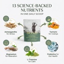 BOND Cycle Care – PMS Support Supplement & Hormone Balance for Women – Cortisol Reducer with Ashwagandha, L-Tryptophan, Magnesium, Turmeric Extract & Glutathione for Mood & Cycle Relief, 28 Servings 4