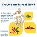 Researched Nutritionals BioDisrupt - Disrupt Biofilm Matrices - Clinically Researched Formula with EnzymesDisrupt Enzyme Blend, Cranberry Extract & N-Acetyl Cysteine (120 Capsules) 4