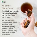 Sayan Siberian Pure Raw Chaga Mushroom Chunks with Black Top Crust 4 Oz / 113 g – Premium Wild-Harvested Antioxidant Tea for Immune Support, Focus and Digestive Health - Non-GMO 3