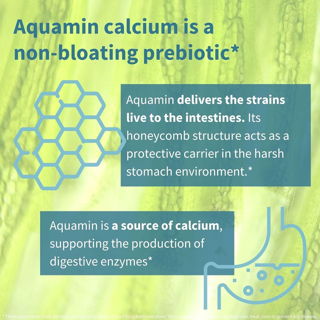 Igennus Probiotics & Prebiotic, Lactobacillus Acidophilus & Bifidobacterium, Live Cultures+ Lab4, Guaranteed 25 Billion CFU, for Women & Men, Non-Bloating Gut Health Support, Non-GMO, 6 x 30 Capsules 5