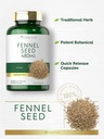 Carlyle Fennel Seed 480mg | 200 Capsules | Herbal Supplement | Non-GMO 4