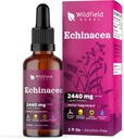 Liquid Echinacea Extract - Echinacea Root Drops Tincture 2440mg (Echinacea purpurea) Herbal Supplement Absorbs Better Than Capsules, 1 Month Supply, 84 Servings, Alcohol-Free - 2 Oz, Pack of 1 2