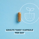 Ancient Nutrition Regenerative Organic Certified Probiotics for Women, Probiotics Women’s Extra Strength, Healthy Digestion and Immune System Function Support, 25 Billion CFUs* Per Serving, 60 Count 6