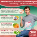 Akkermansia Probiotics Gummies with Prebiotics Fiber, 300 Billion AFU Akkermansia Muciniphila, with Polyphenol Fruits, Resistant Starch, Vitamin A D3 B2 for Metabolism, Digestive & Gut Health, 1Pack 6