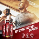 iSatori L-Carnitine LS3 Lemon Lime 3000mg (32 Servings) & iSatori Ultra CLA (90 Softgels) 4