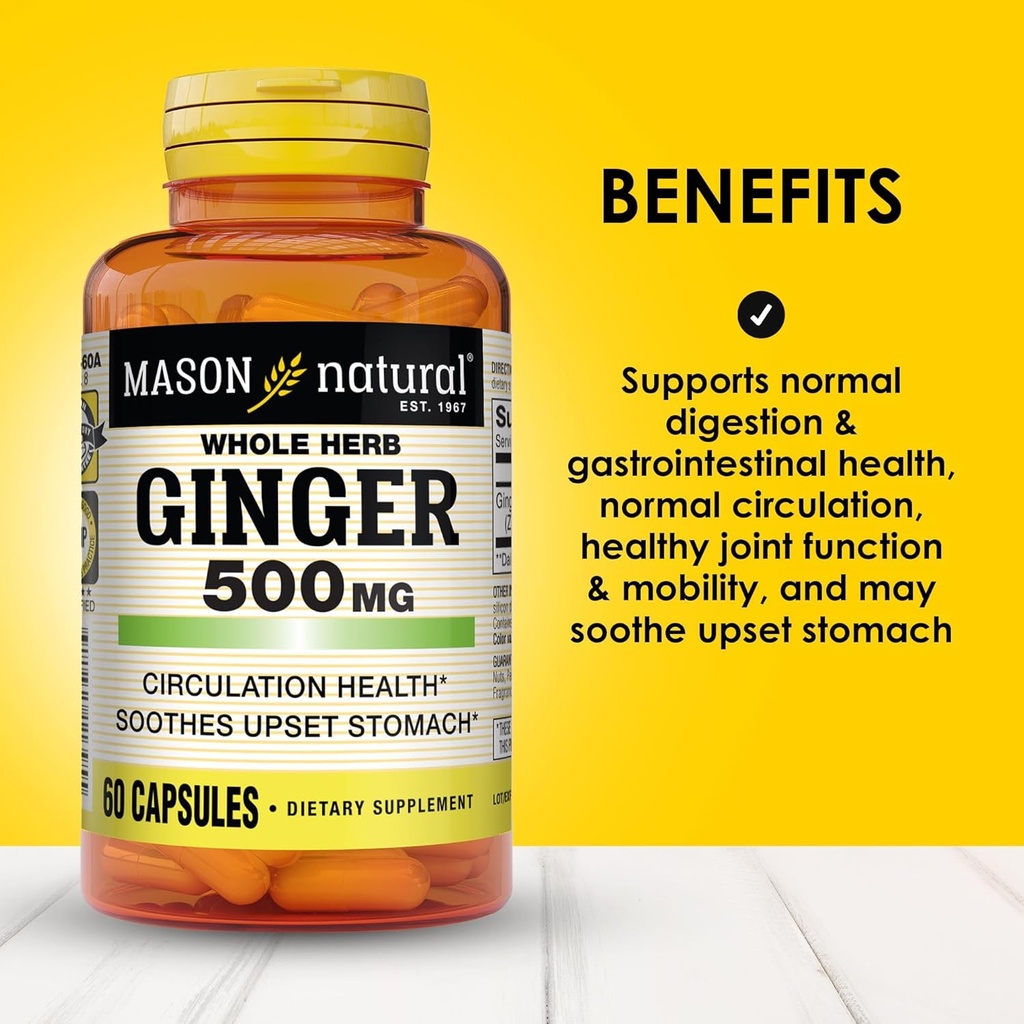 MASON NATURAL Whole Herb Ginger 500 mg, 6 Month Supply, Natural Herbal Supplement, 60 Capsules (3 Pack) 3
