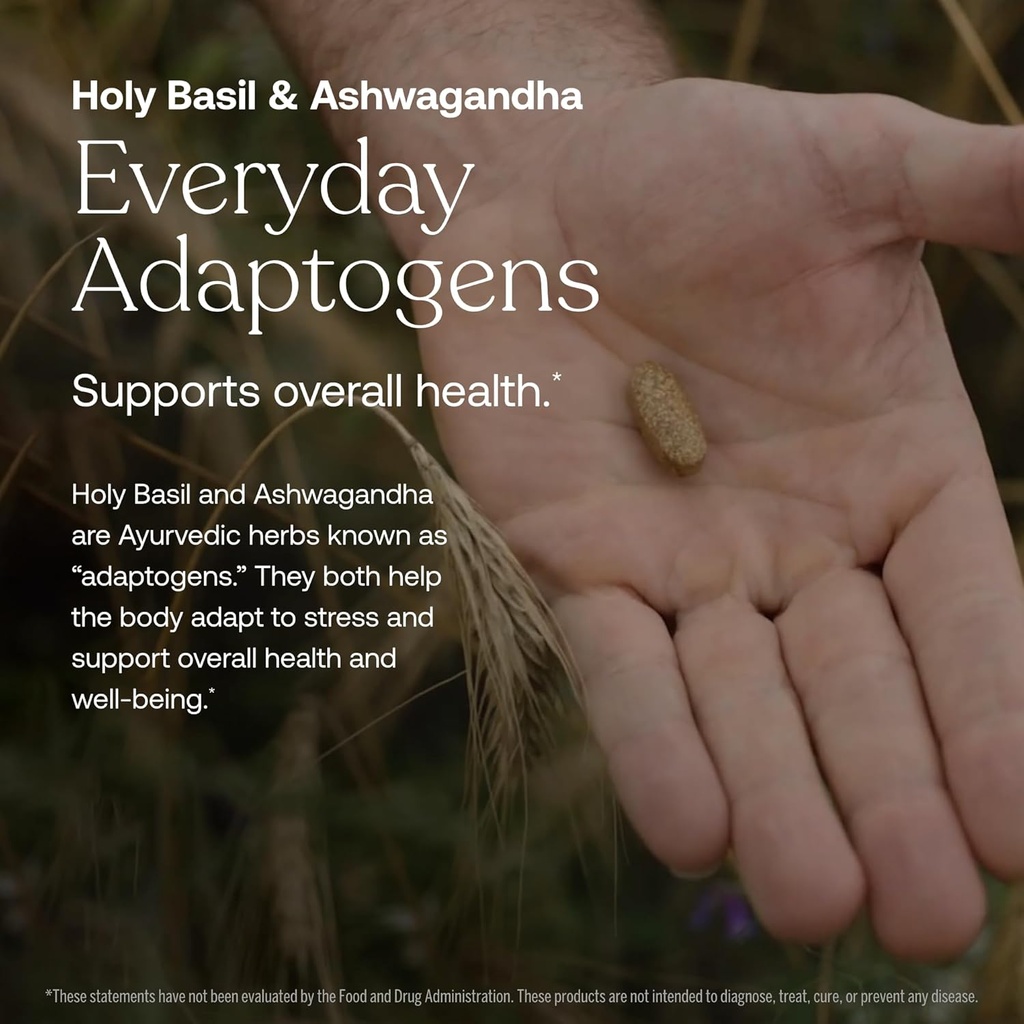 True Grace Men's 40+ One Daily Multivitamin Fermented Minerals, Organic Adaptogens & Mushrooms Whole Body Balance Immune, Endurance, Bone & Heart Support Supplement - Non-GMO - 90 Vegetarian Tablets 6