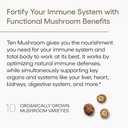 EcoNugenics Ten Mushroom Supplement: Daily Immune Support, 120 Capsules – Lion’s Mane, Reishi, Cordyceps, Turkey Tail – Energy, Gut Health, Liver, Kidney, Cholesterol & Nootropic Brain Support 4