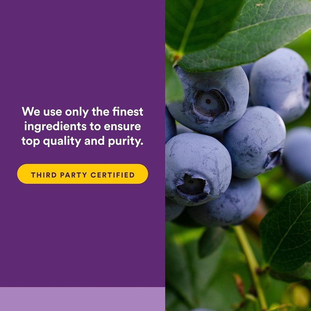 BlueRich by Natural Factors, Super Strength Blueberry Concentrate, Antioxidant Support for Overall Good Health, 90 Softgels 6