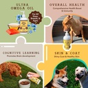 Natural Dog Company 16 oz. -2 Pack Ultra Omega 3 Fish Oil for Dogs, Dog Fish Oil Supplement for Shedding, Itch Relief, Salmon Oil for Dogs, for Multi Dog Families or Large Breed Dogs, 32 oz Value 6