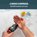 Ancient Nutrition Probiotics for Men, SBO Probiotics Men's Once Daily 30 Ct, for Healthy Digestion and Immune System Function Support, 25 Billion CFUs* Per Serving 4