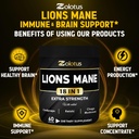 zolotus-lions-mane-mushroom-capsules-wit-5.jpg
