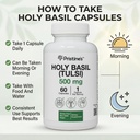 PRISTINE'S Holy Basil Capsules - 500 mg Gluten Free Immunity & Relaxation Support Adaptogen Supplement - 60 Day Supply - Tulsi Holy Basil Leaf Extract Capsules - Vegan - Non-GMO 4