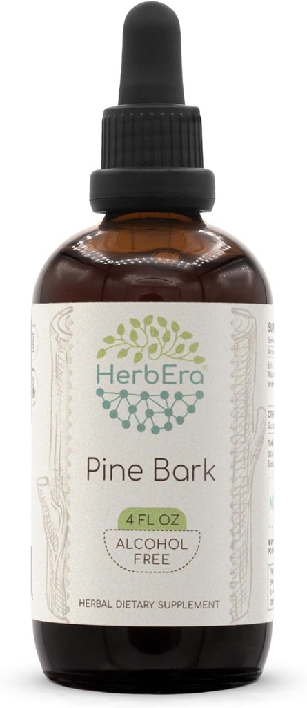 HerbEra Pine Bark B120 Alcohol-Free Herbal Extract Tincture, Concentrated Liquid Drops Natural Pine Bark (Proanthocyanidin) Dried Bark 4 fl oz 2