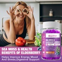 Sea Moss & Elderberry Gummies, Blueberry Flavored Gummy, Vitamins Sea Moss Supplements with Vitamin C + Zinc and Apple Cider Vinegar, Good Texture, Vegan-Friendly, 120 Count(Pack of 2) 4