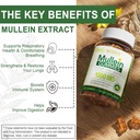 NEVISS Mullein Gummies for Lungs, Organic Mullein Leaf Extract 1000mg for Respiratory System with Quercetin & Bromelain, D3 for Digestive Support, Immune Booster, Sugar Free, Vegan, 120 Count 4