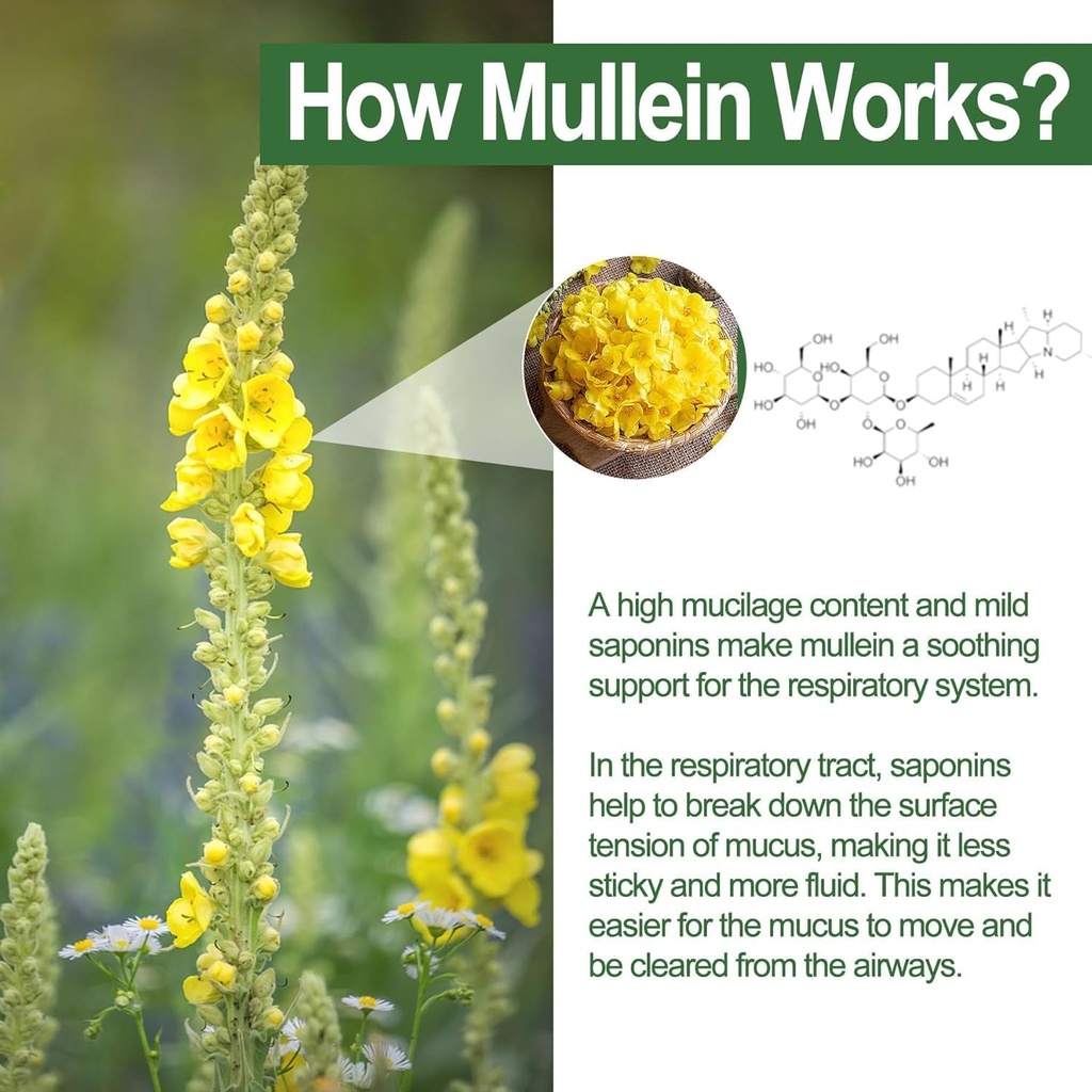 NEVISS Mullein Gummies for Lungs, Organic Mullein Leaf Extract 1000mg for Respiratory System with Quercetin & Bromelain, D3 for Digestive Support, Immune Booster, Sugar Free, Vegan, 120 Count 5