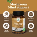 Advanced Lion's Mane Mushroom Supplement - Lions Mane Supplement Capsules with Reishi, Chaga, Maitake & Shiitake for Brain Health Memory Support & Focus - Nootropic for Mental Clarity - 30 Caps 5