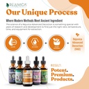 Active Adrenal + Active Ashwagandha - Support Adrenal Health + Energy - Liquid Delivery for Better Absorption - Rhodiola, Ashwagandha, B-Vitamins, Holy Basil & More! 5