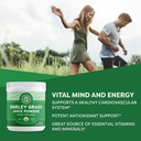 Vimergy Barley Grass Juice Powder Dietary Supplement - 0.8g per Serving (312 Servings) – Clean Superfood Formula – Promotes Cardiovascular Health* – Organic, Vegan & Gluten-Free – Regular Size 250g 3
