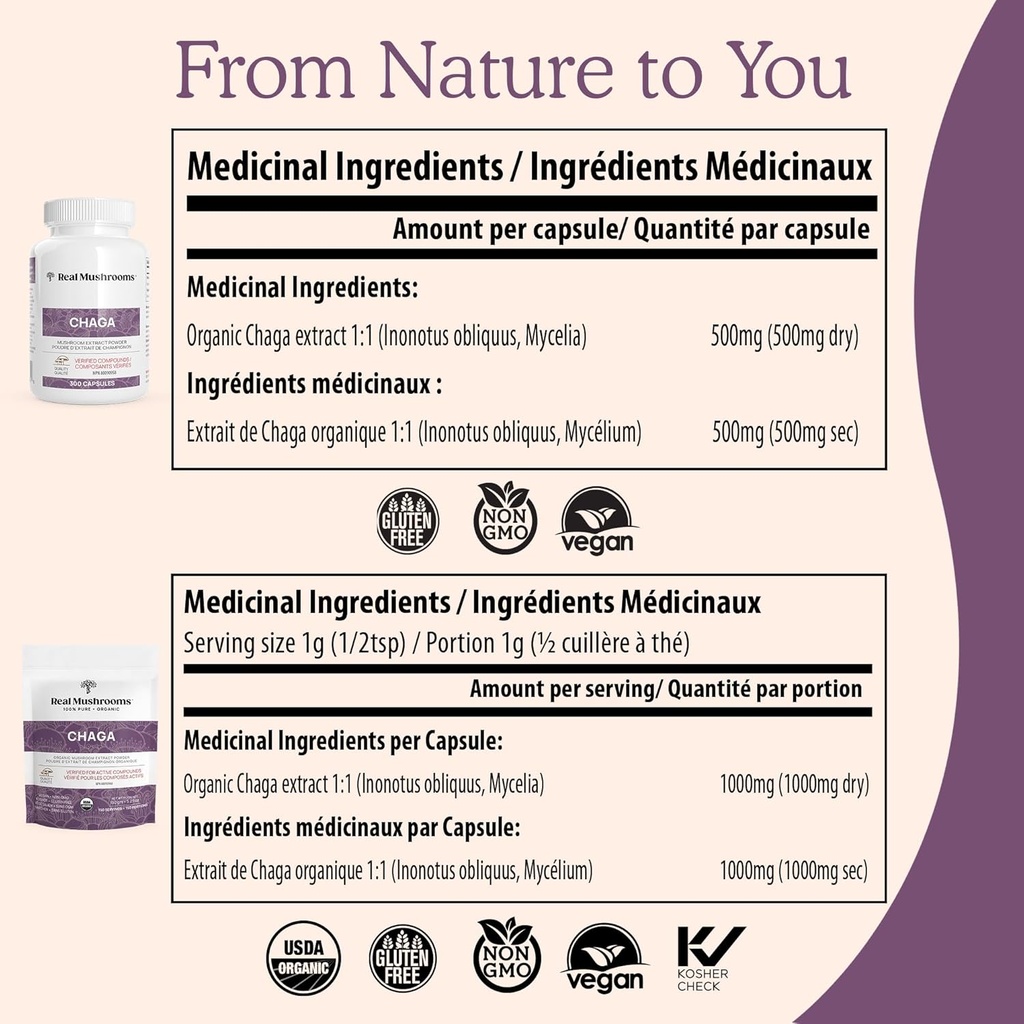 real-mushrooms-chaga-mushroom-powder-org-3.jpg