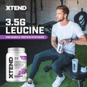 xtend-original-bcaa-powder-7g-bcaa-and-2-4.jpg