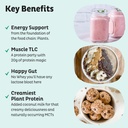 KOS Vegan Protein Powder, Unflavored & Unsweetened - Low Carb Pea Protein Blend, Organic Superfood Rich in Vitamins & Minerals - Keto, Soy, Dairy Free - Meal Replacement for Women & Men - 20 Servings 4