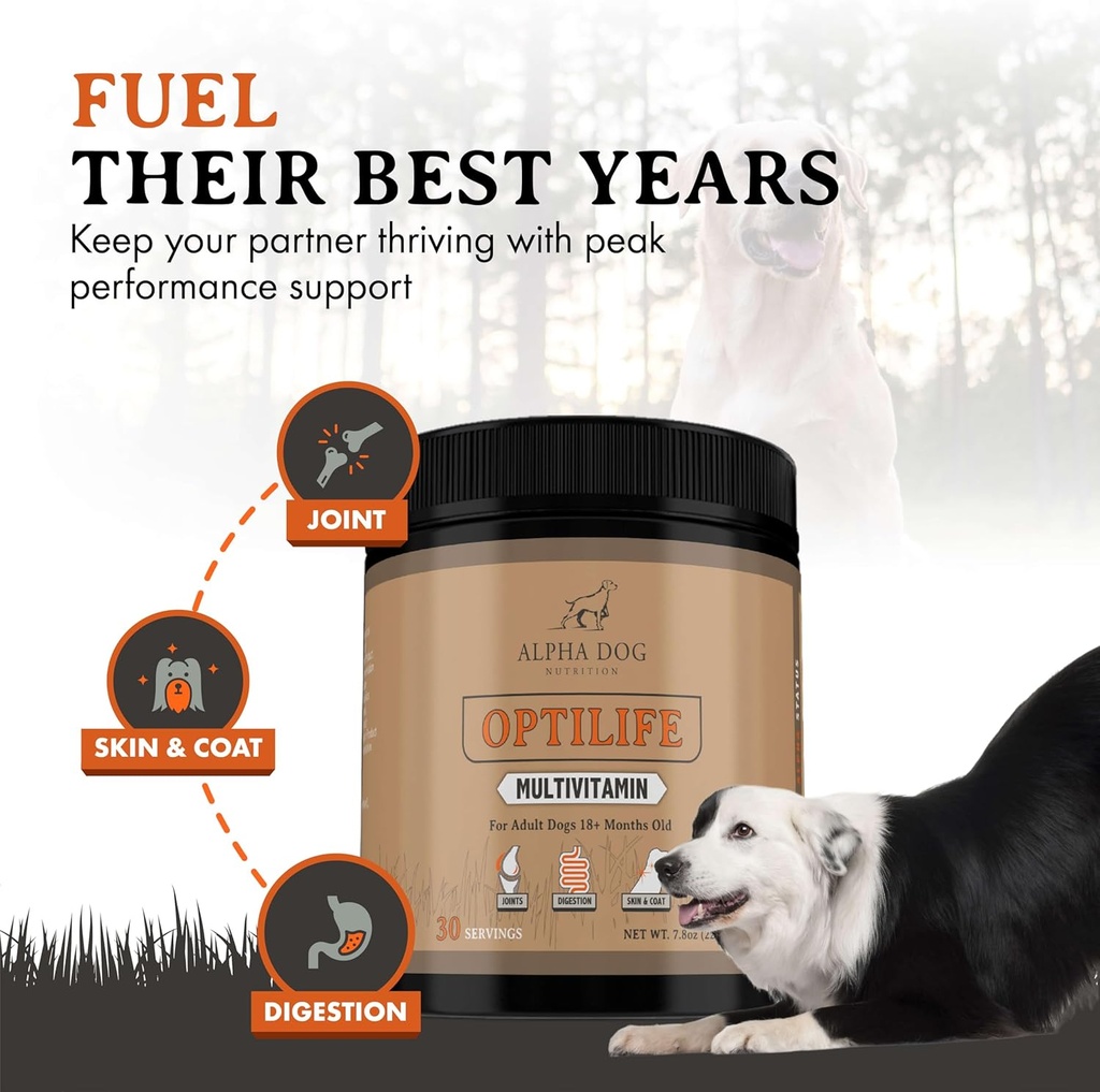 OptiLife Dog Multivitamin Powder - Adult Dog Multivitamin with Probiotics, Allergy Support, Joint Support, Skin & Coat Support - Dog Vitamins and Supplements - Multivitamin for Dogs (60 Servings) 3