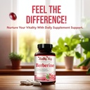 High Strength Berberine Supplement 500mg - Once Daily Potent Berberine 500mg Antioxidant Quercetin Supplement for Heart Aging and Vitality Support - Vegan Friendly & Made in The USA (180 Servings) 6