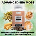 advanced-sea-moss-sea-moss-advanced-form-4.jpg